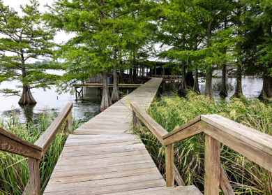 Beautiful Lake House Retreat - photo 25