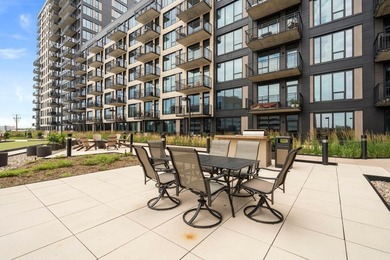 South facing unit filled with natural light, 2 garage stalls - photo 30