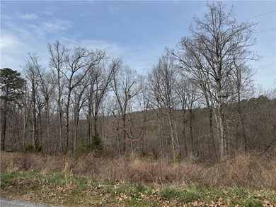 Beaver Lake Acreage For Sale in Eureka Springs Arkansas