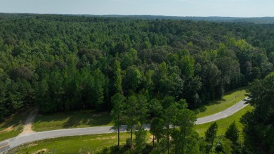 Indian Lake Lot For Sale in Cedar Grove Tennessee