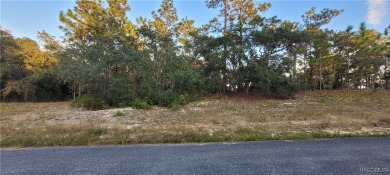Rush Lake Lot For Sale in Citrus Springs Florida