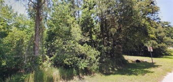 Lake Lot Off Market in Kissimmee, Florida