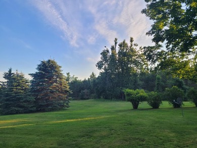 Welcome to Long Acres, a beautiful forest just outside of - photo 6