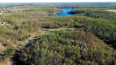 Welcome to Long Acres, a beautiful forest just outside of - photo 9