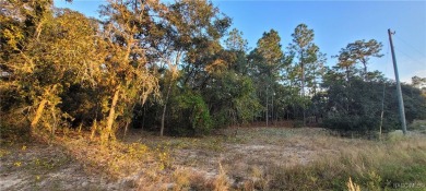 Rush Lake Lot For Sale in Citrus Springs Florida