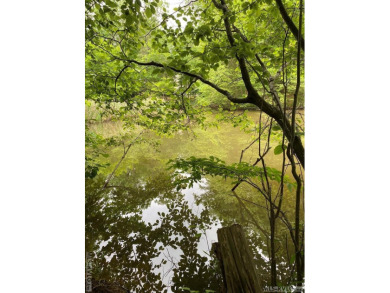 Lake Lot For Sale in Bracey, Virginia