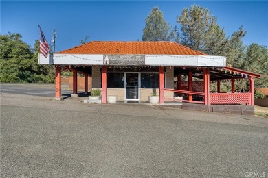 Clear Lake Commercial For Sale in Kelseyville California