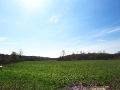 Clinton River Acreage For Sale in Lenox Michigan