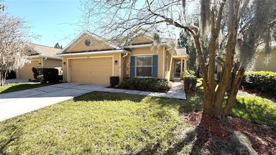 (private lake, pond, creek) Townhome/Townhouse For Sale in Tampa Florida