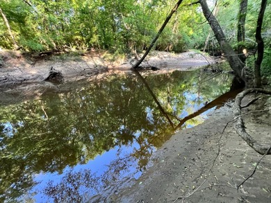 (private lake, pond, coastal) Acreage For Sale in Millry Alabama