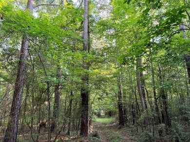 Additional listing photo 1