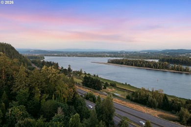Elevated living in one of the most sought-after Camas - photo 43