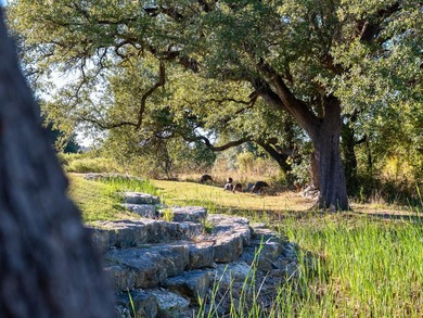 OWNER-FINANCING AVAILABLE!! Create your ideal full-time - photo 12