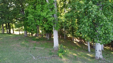 15 calculated acres, NO restrictions, in Greenbelt. Country - photo 28