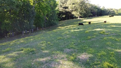 15 calculated acres, NO restrictions, in Greenbelt. Country - photo 30