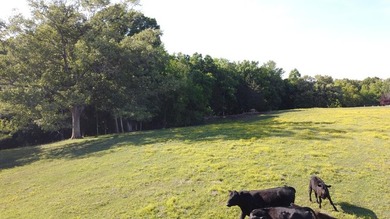 15 calculated acres, NO restrictions, in Greenbelt. Country - photo 32