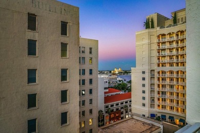 Live the ultimate downtown West Palm Beach lifestyle in this - photo 33