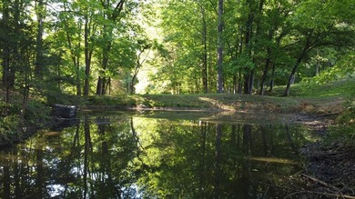 15 calculated acres, NO restrictions, in Greenbelt. Country - photo 34
