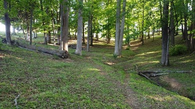 15 calculated acres, NO restrictions, in Greenbelt. Country - photo 35