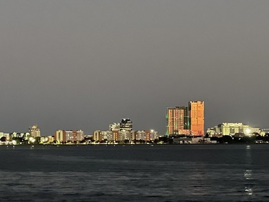 Stunning Downtown WPB City views from this Beautiful 4BR/3BA - photo 44