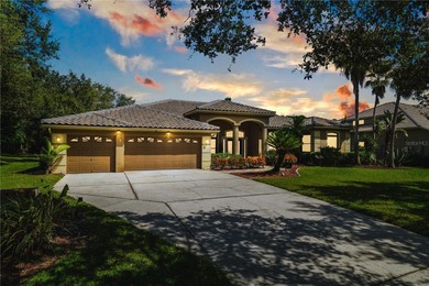 Lake Home For Sale in Oldsmar, Florida
