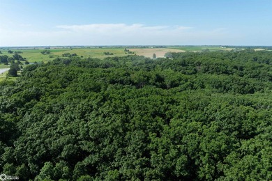 This Appanoose County property is an outstanding opportunity for - photo 8