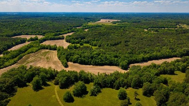 The Mooreville Farm | 431.67+/- | Lee County, MS Welcome to The - photo 1