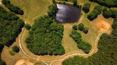 The Mooreville Farm | 431.67+/- | Lee County, MS Welcome to The - photo 2