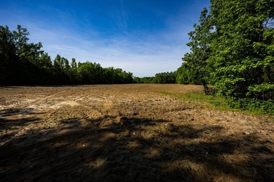 The Mooreville Farm | 431.67+/- | Lee County, MS Welcome to The - photo 3