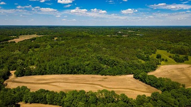 The Mooreville Farm | 431.67+/- | Lee County, MS Welcome to The - photo 4