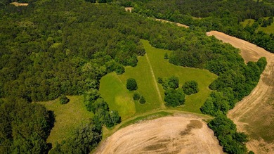 The Mooreville Farm | 431.67+/- | Lee County, MS Welcome to The - photo 5