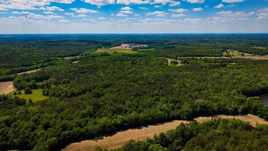 The Mooreville Farm | 431.67+/- | Lee County, MS Welcome to The - photo 7