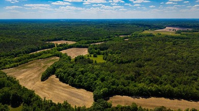 The Mooreville Farm | 431.67+/- | Lee County, MS Welcome to The - photo 8