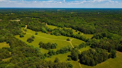 The Mooreville Farm | 431.67+/- | Lee County, MS Welcome to The - photo 9