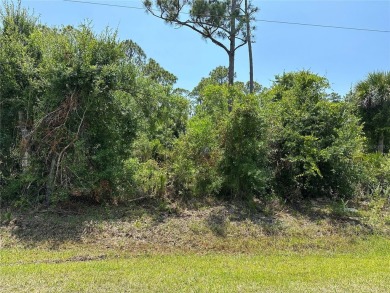Lake Lot For Sale in Punta Gorda, Florida