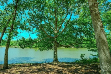 Tucked away on 4.12 private acres with approximately 350 feet of - photo 31