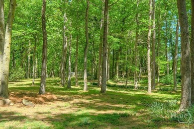 Tucked away on 4.12 private acres with approximately 350 feet of - photo 42
