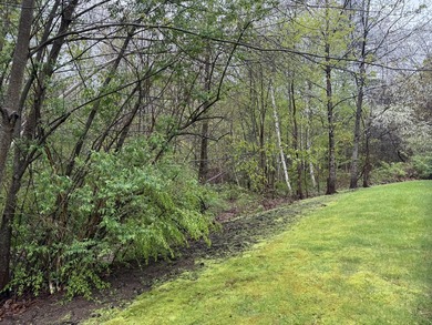 A rare Wells opportunity: this 3-bed, 2-bath ranch sits on 2.25 - photo 43