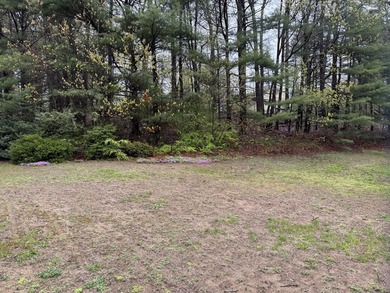 A rare Wells opportunity: this 3-bed, 2-bath ranch sits on 2.25 - photo 44