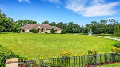 (private lake, pond, creek) Home For Sale in Lakeland Florida