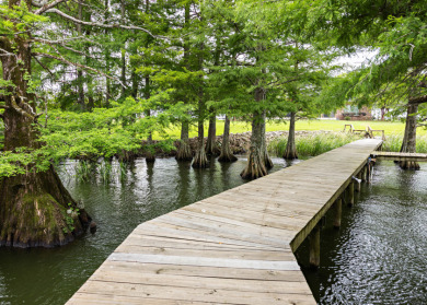 Beautiful Lake House Retreat - photo 29
