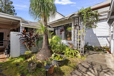 New Price! A classic Manoa-style home located on a quiet - photo 15