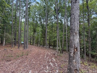 This is a great waterfront lot in Jimmie's Creek with just over - photo 4