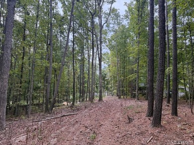 This is a great waterfront lot in Jimmie's Creek with just over - photo 5