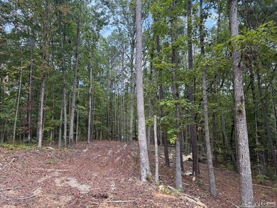 This is a great waterfront lot in Jimmie's Creek with just over - photo 6