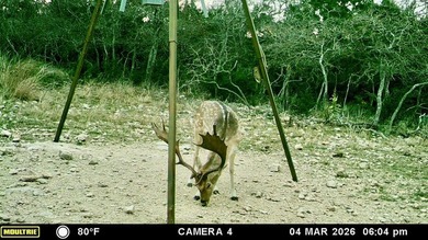 Set on 22.45 wildlife-exempt AC in the heart of the Hill Country - photo 46