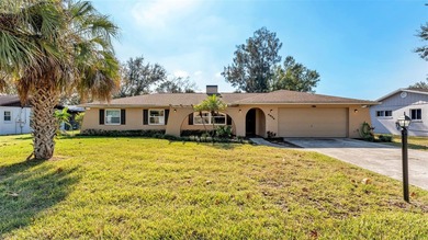 Lake Home Sale Pending in Mulberry, Florida