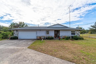 (private lake, pond, creek) Home For Sale in Leesburg Florida