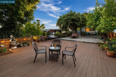 Welcome to 1501 Lassen Ct, a single-level Skyview home tucked on - photo 8