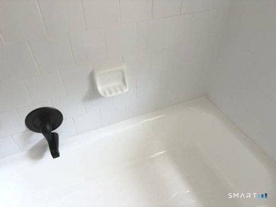 This large one bedroom unit is conveniently located in the - photo 14